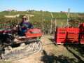 Icon of Vendemmia_03