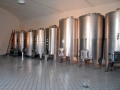 Icon of Cantina_01