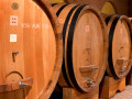Icon of Cantina_02