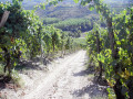 Icon of Territorio_09